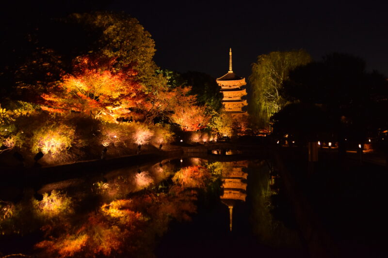 東寺の五重塔と池に映る秋のライトアップ
